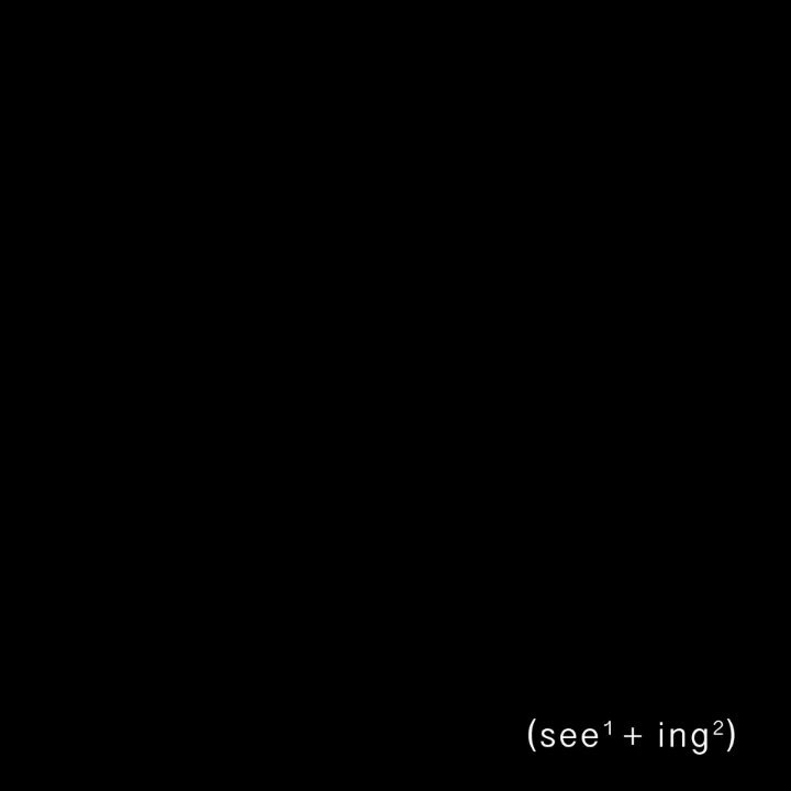 see¹ing ² twen-tee / 1999-2019